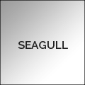 SEAGULL-120x120